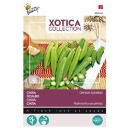 Xotica Collection Okra Clemson Spineless Seeds